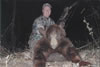 Bear 1