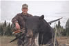 Bear 2