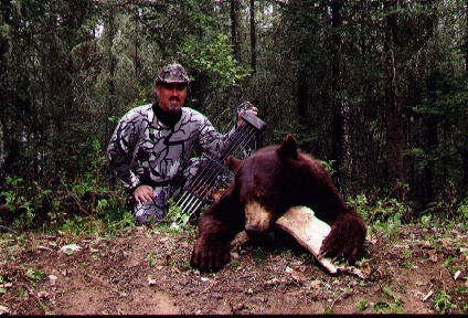 2007bear5.jpg